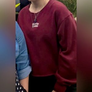 Hollister Cropped Sweatshirt